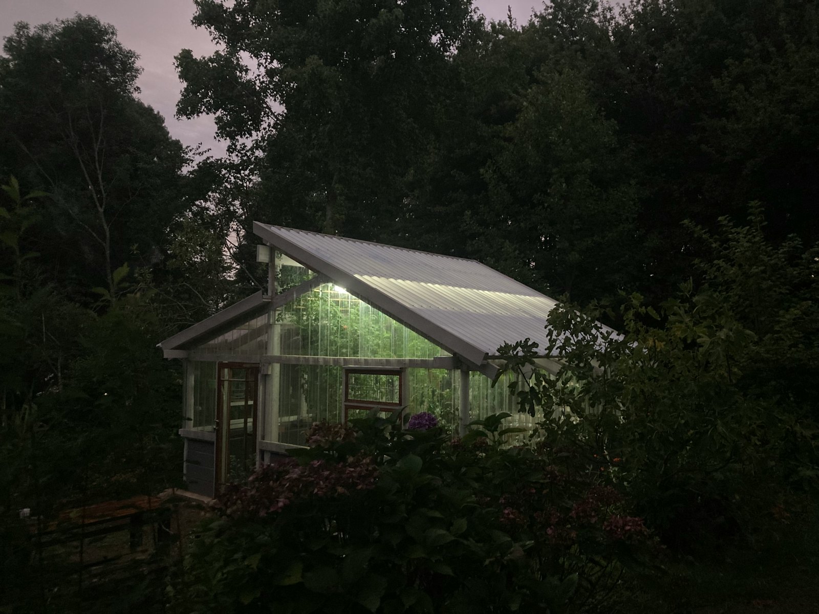 A small greenhouse glowing at night among dark trees