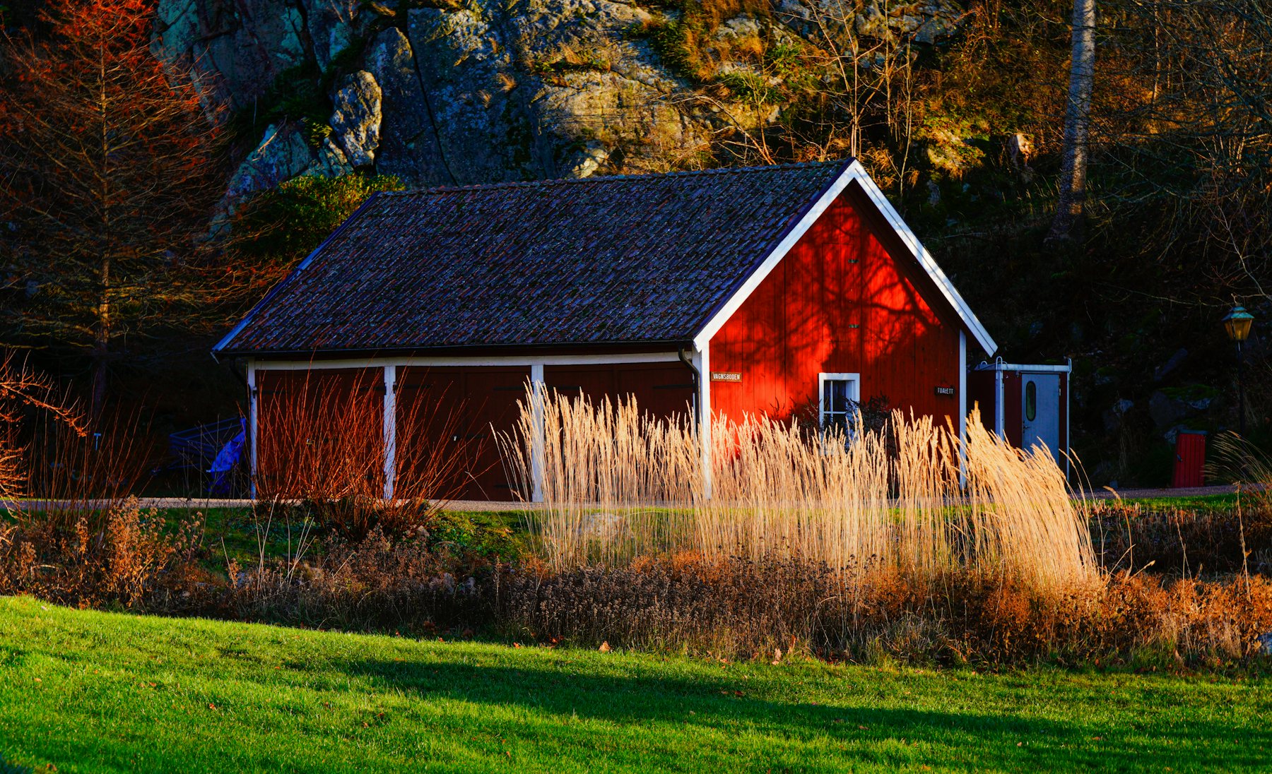 A small red barn among trees and tall grass
